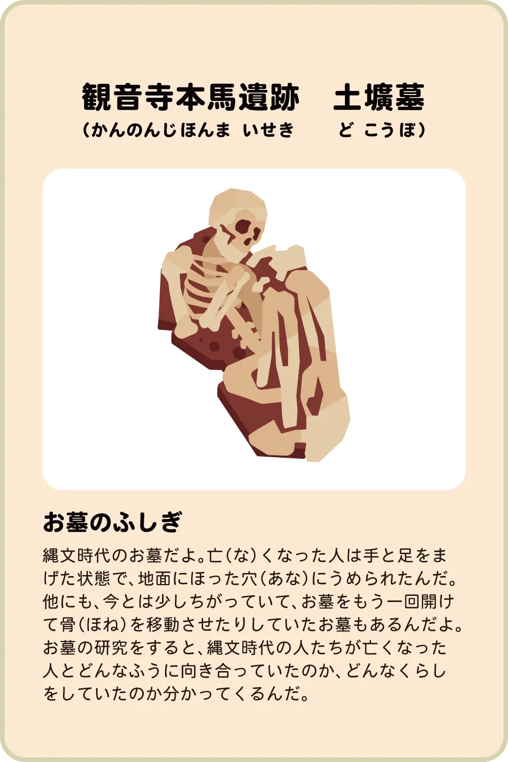 観音寺本馬遺跡　土壙墓 お墓のふしぎ縄文時代のお墓だよ。亡（な）くなった人は手と足をまげた状態で、地面にほった穴（あな）にうめられたんだ。他にも、今とは少しちがっていて、お墓をもう一回開けて骨（ほね）を移動させたりしていたお墓もあるんだよ。お墓の研究をすると、縄文時代の人たちが亡くなった人とどんなふうに向き合っていたのか、どんなくらしをしていたのか分かってくるんだ。