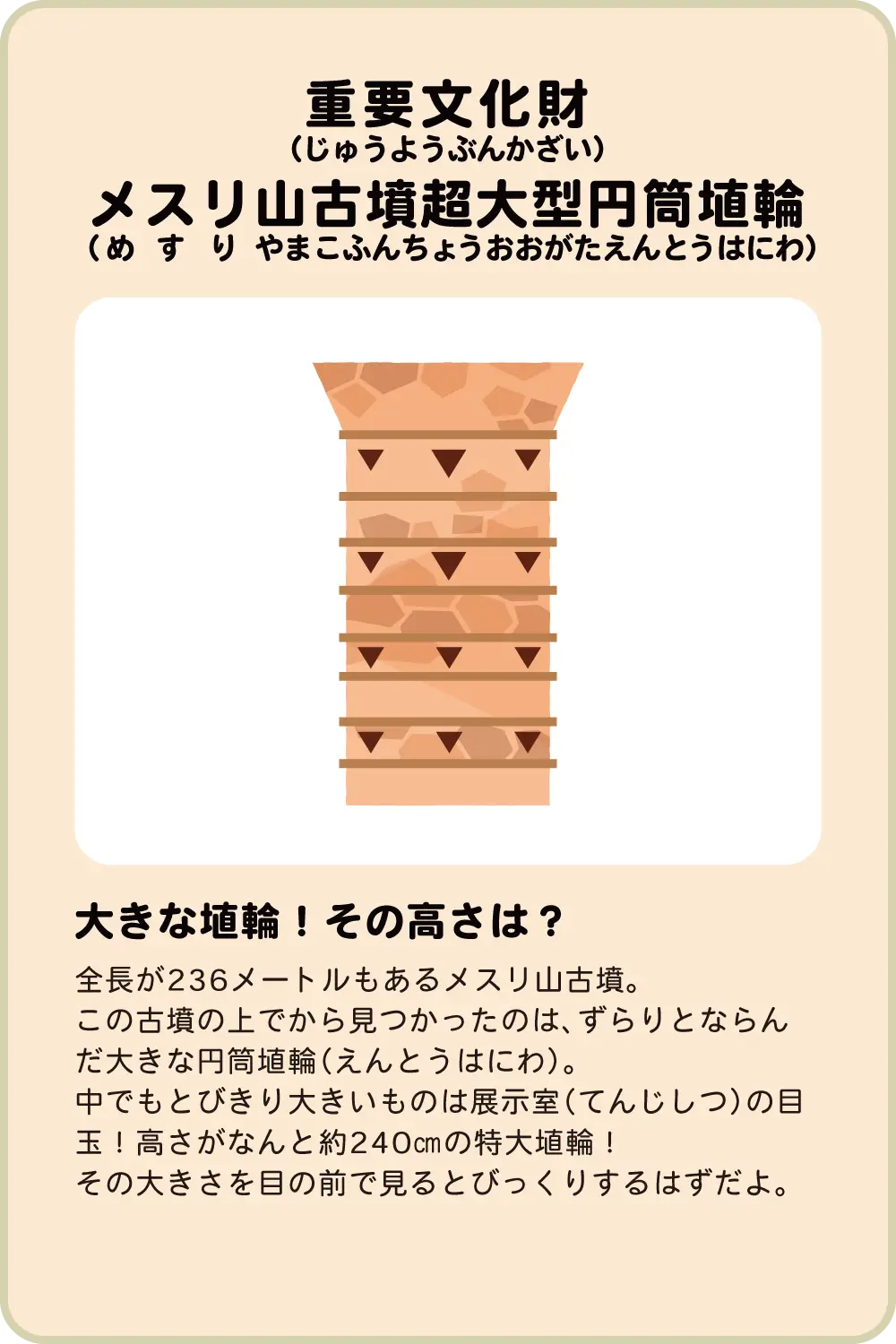 重要文化財 メスリ山古墳超大型円筒埴輪 大きな埴輪！その高さは？全長が236メートルもあるメスリ山古墳。この古墳の上でから見つかったのは、ずらりとならんだ大きな円筒埴輪（えんとうはにわ）。中でもとびきり大きいものは展示室（てんじしつ）の目玉！高さがなんと約240㎝の特大埴輪！その大きさを目の前で見るとびっくりするはずだよ。