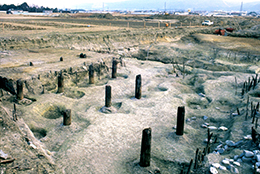 下ツ道を横切る川跡と橋脚(稗田遺跡)
