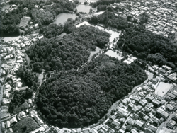 佐紀石塚山古墳（手前）・佐紀陵山古墳（奥）・佐紀高塚古墳（右）