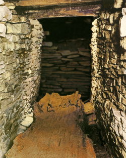 桜井茶臼山古墳の石室と棺